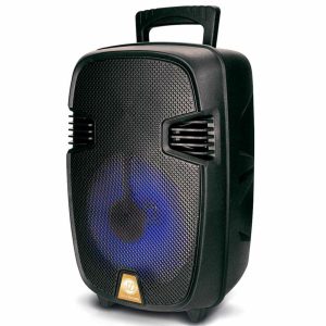 Sistema de Audio SERIE DORADA SD801