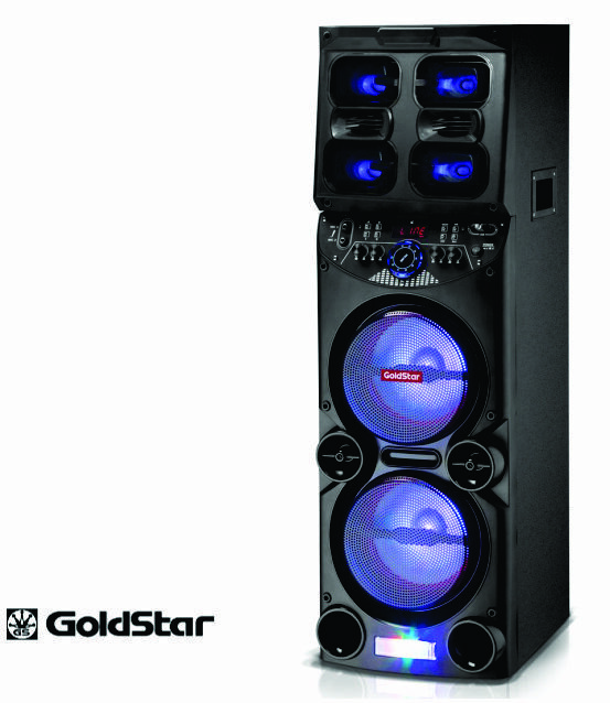 Sistema de Audio GOLDSTAR GLD-2410