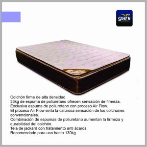 Colchon GANI Golden Flex 3.0 190x140x24 Alta Densidad