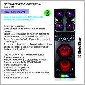 Sistema de Audio GOLDSTAR GLD2310