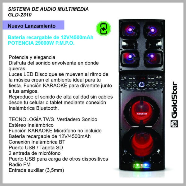 Sistema de Audio GOLDSTAR GLD2310
