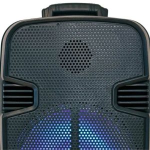 Sistema de Audio SERIE DORADA SD-12