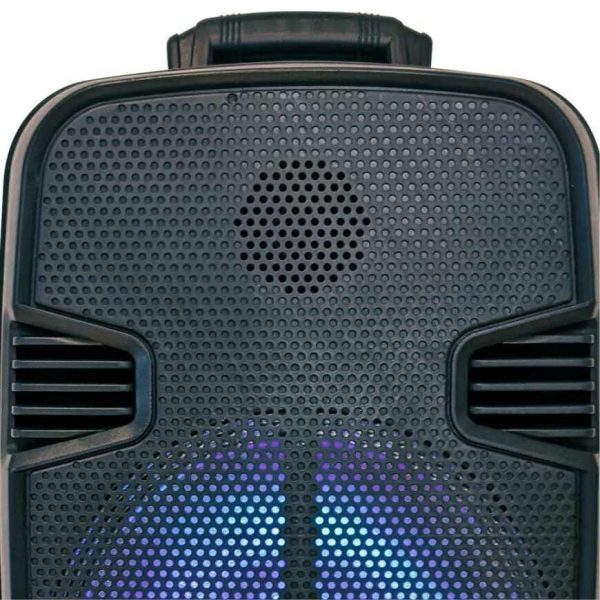 Sistema de Audio SERIE DORADA SD-12 - Image 2