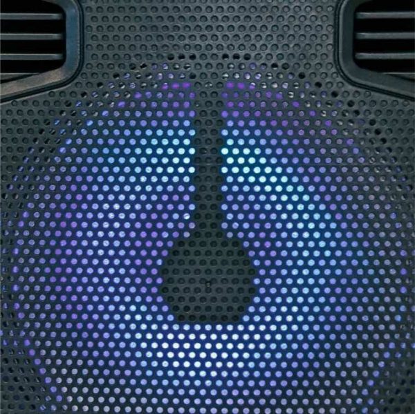 Sistema de Audio SERIE DORADA SD-12 - Image 3