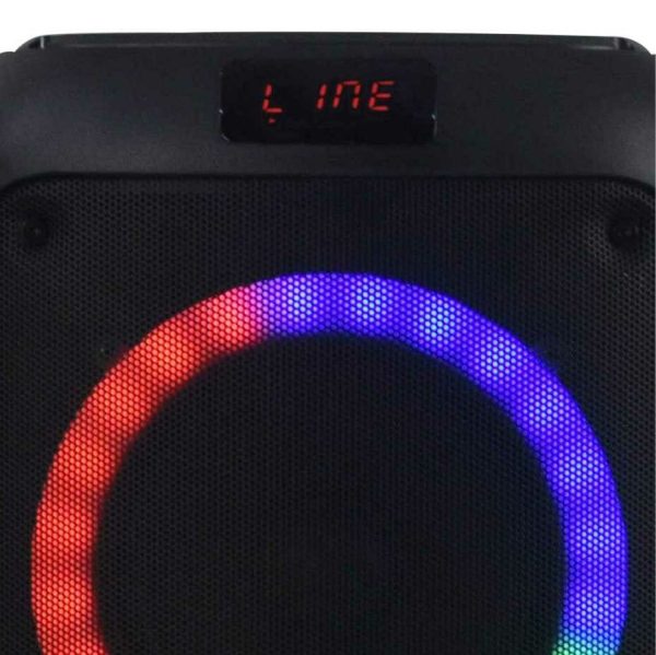 Sistema de audio GOLDSTAR GLD-603 - Image 2